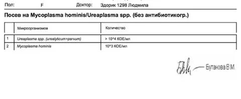 Пцр мазок на хламидии микоплазмы