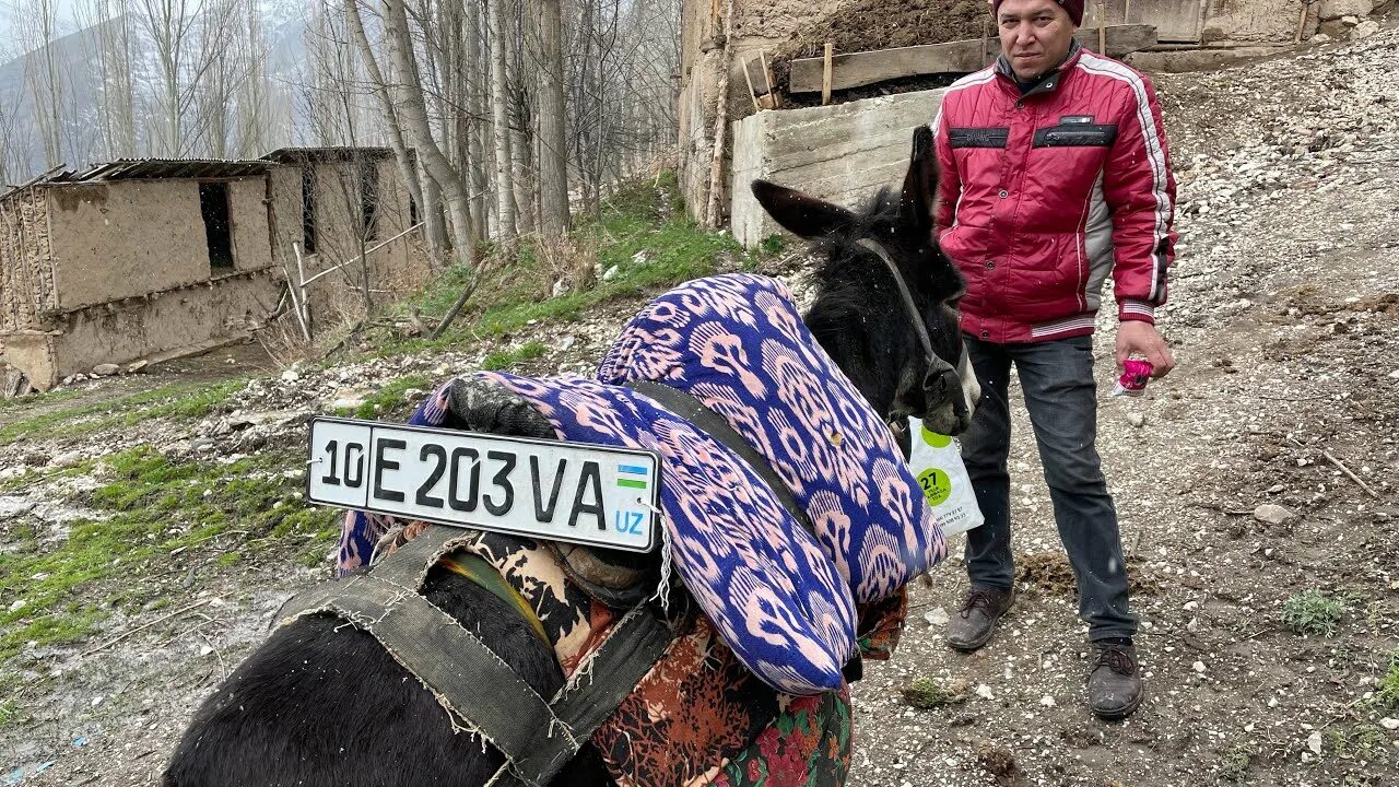 Гелан кишлак. Кишлак Гелон в Узбекистане. Кишлак Фисенко. Кишлак певец репер.