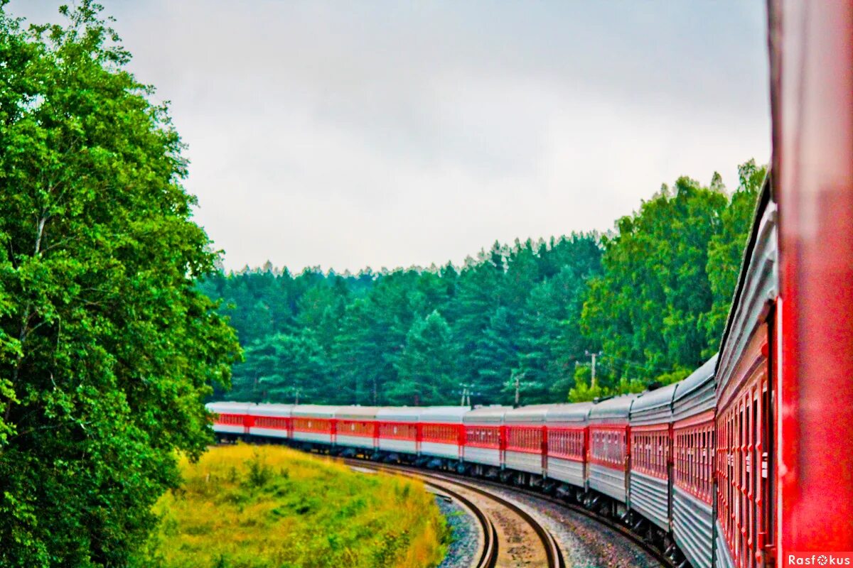 Фон железная дорога. Лесная железная дорога. Красивые поезда России. Железная дорога природа.