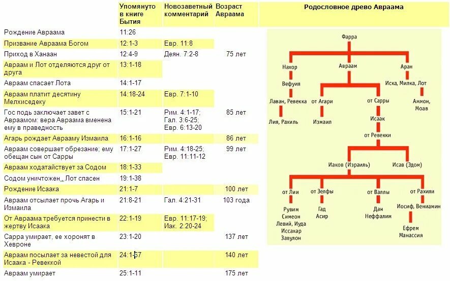 Рассказы первая в роду. Родословная Авраама Библия. Родословие Авраама Библия. Родословная Авраама Библия схема. Генеалогическое Древо Авраама.