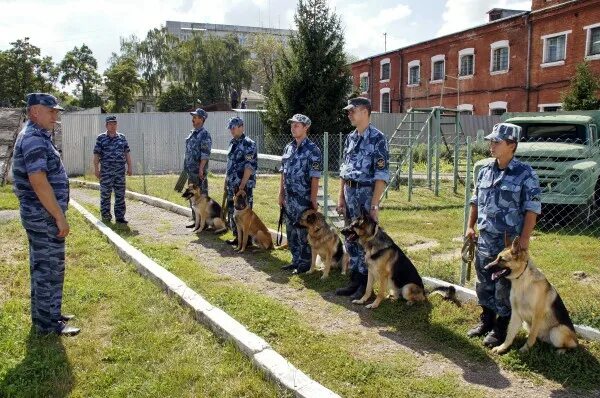 Кинолог институт. Кинологический центр ФТС России. Кинологический центр Центральная таможня Москва. Кинологический центр Фрязево ФСИН. Кинологический центр Алистэр.