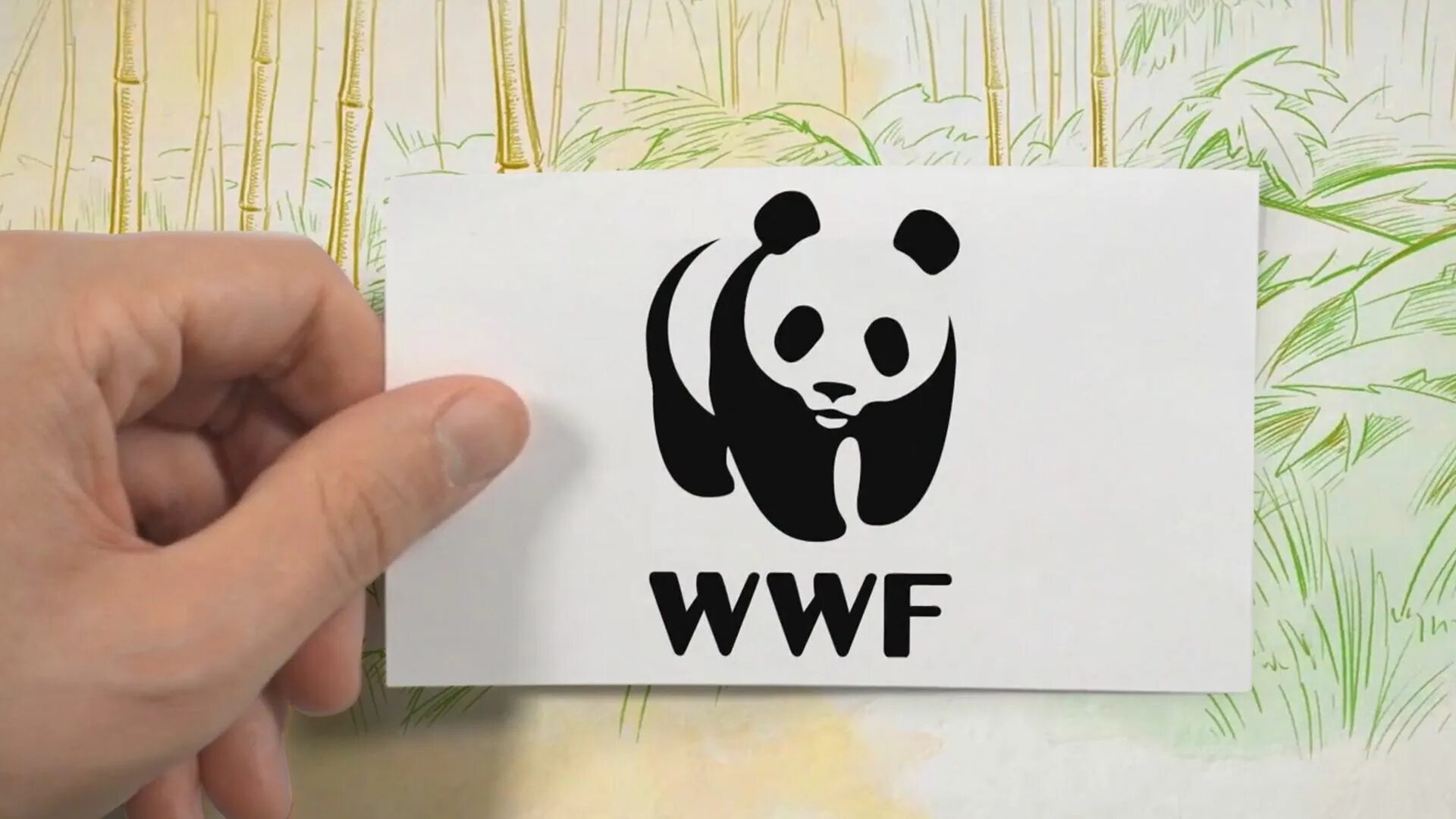 Video wwf. Video wwf. Организация защиты животных wwf логотип. Эмблема фонда охраны дикой природы. День рождения всемирного фонда дикой природы (wwf).