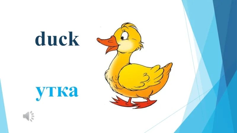 Слово duck. Утка по английскому. Карточка утка на английском. Утка карточка для детей. Утенок на английском языке.