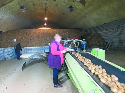 Фермерство в башне 73