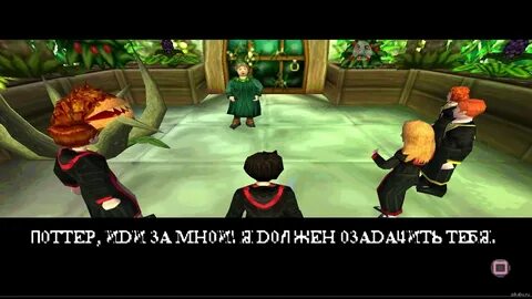 Potter translate