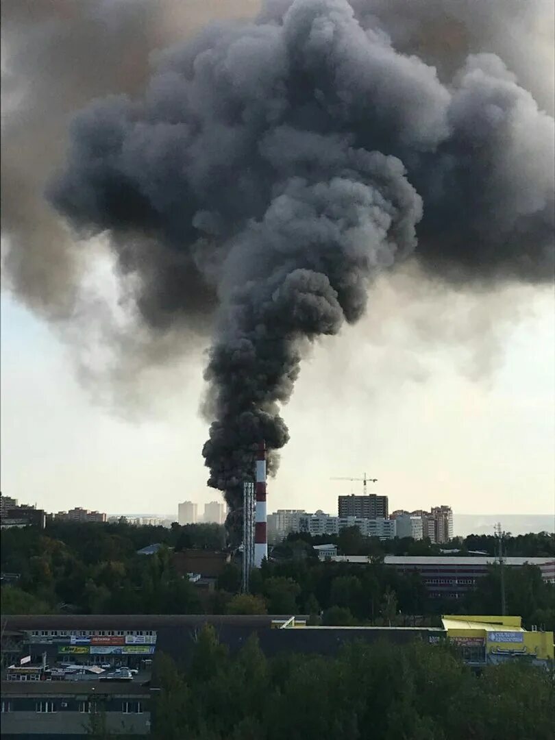 Что сейчас в чехове. Что сейчас в чехове