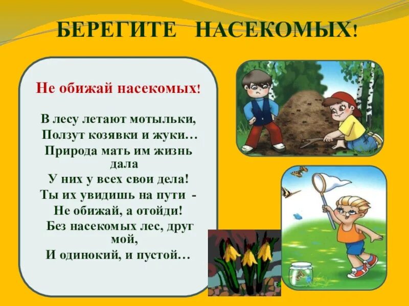 Песня не обижай ее не обижай зачем. Стихи про насекомых. Стихи про насекомых для детей. Стихотворение про насекомых для детей. Стихотворение про насекомых для дошкольников.