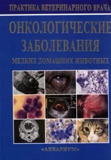 Животная практика