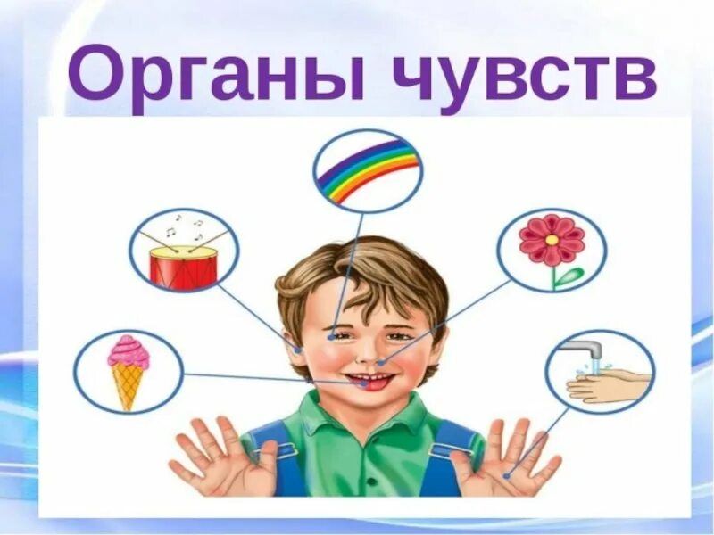 Окружающий мир органы чувств. Условные знаки гигиены органов. Язык орган вкуса задания. Картинки органов чувств человека для детей. Гигиена органов чувств 3 класс.