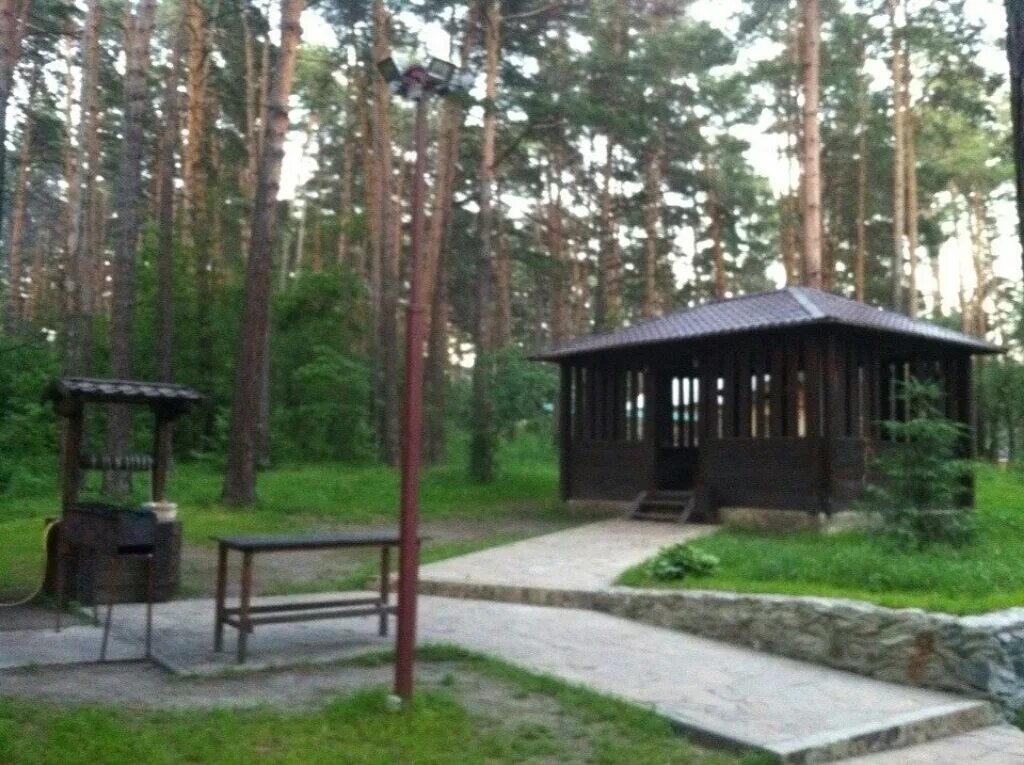 Сибиряк Заельцовский парк. Заельцовский парк Новосибирск беседки. Логово Новосибирск Заельцовский парк беседки. Заельцовский парк беседки с мангалом. Беседка заельцовский