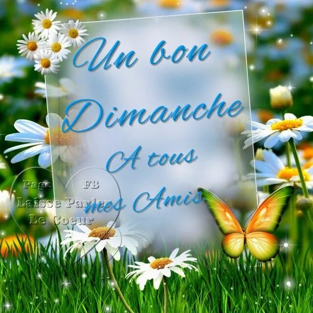 C est un bon. Bon dimanche. bon dimanche картинки. bonne dimanche gif vintage. good morning cards.