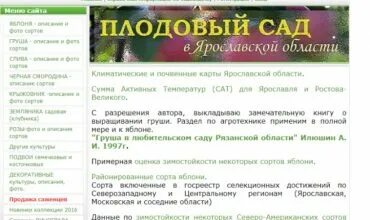 Магазин рассады. Саженцы плодовых деревьев. Слива блю свит колоновидная. Магазин рассады. Лазаревское саженцы.