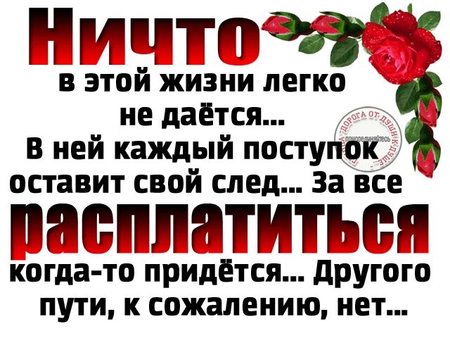 Оплачено жизнью
