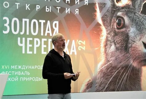 Фестиваль золотая черепаха