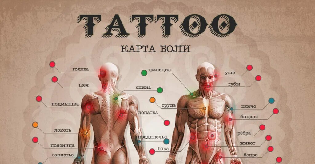 Насколько больно делать. Болезненные места для татуировок. Карта боли татуировок. Карта боли тату для мужчин. Самые популярные места для тату.