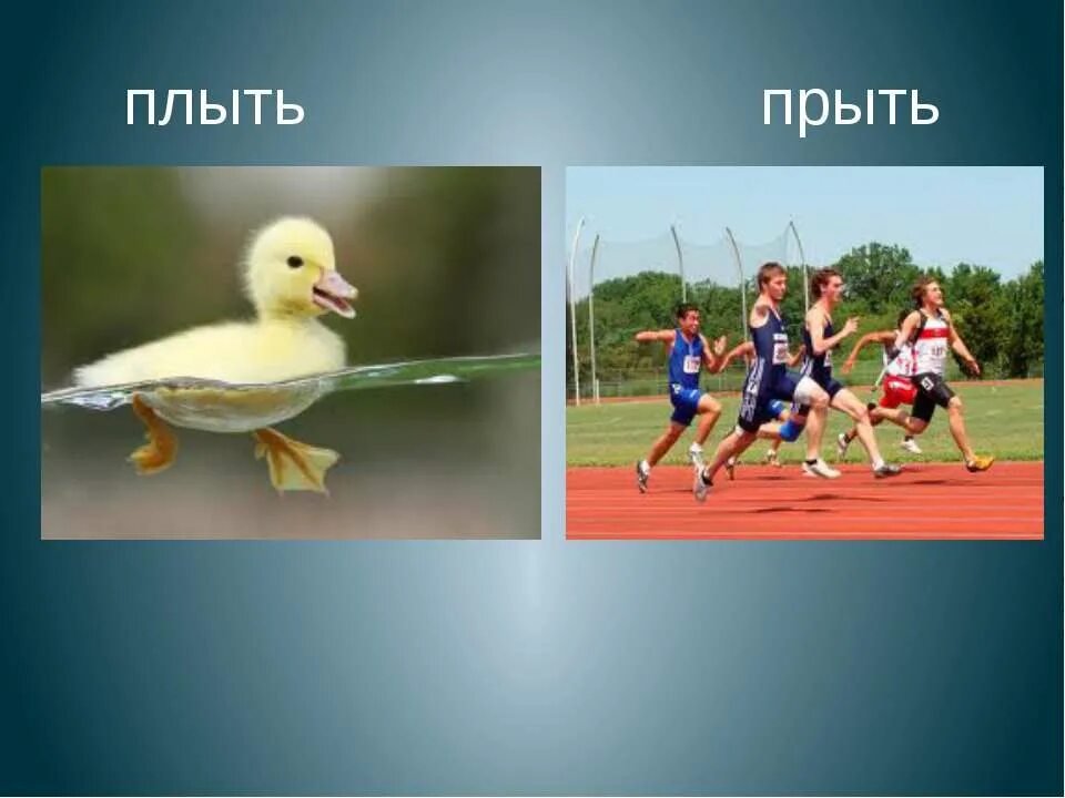 Во всю прыть. Прыть. прыть картинка. прыть что это значит. моя прыть.
