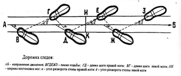 Дорожка следов