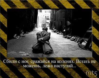 Стихи встану на колени