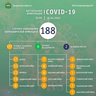 Статистика калуга сайт