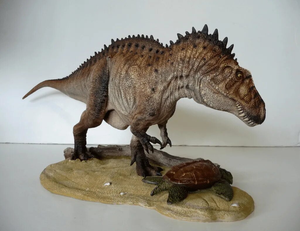 Динозавр акрокантозавр 2021. Теропод спинозавр. Acrocanthosaurus atokensis. Акрокантозавр парк юрского. Acrocanthosaurus 3d model.