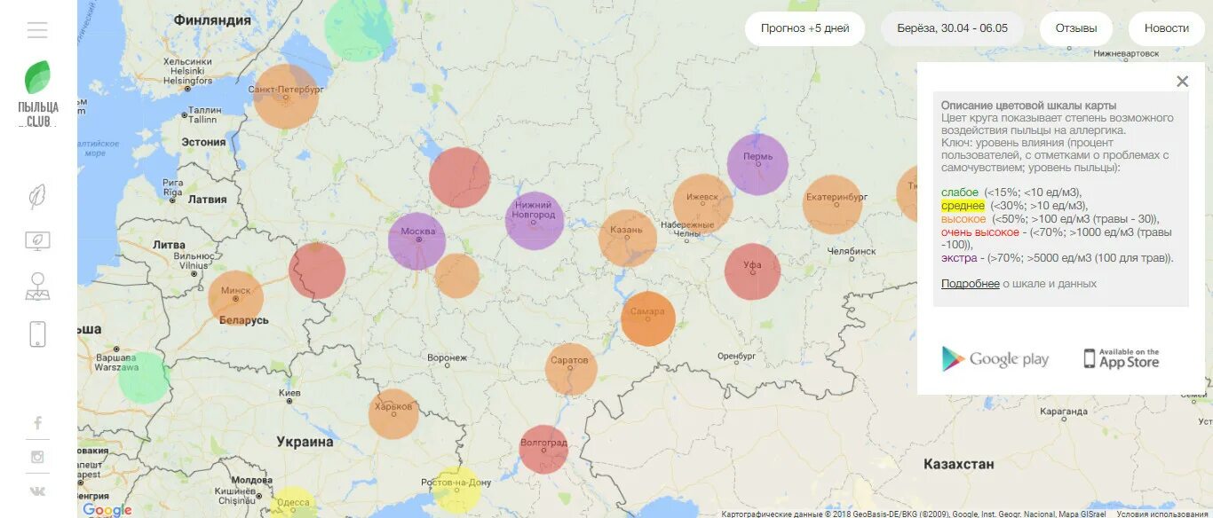 Карта цветения березы. Карта цветения березы в России. Карта цветения березы в России по регионам. Карта пыльцы березы