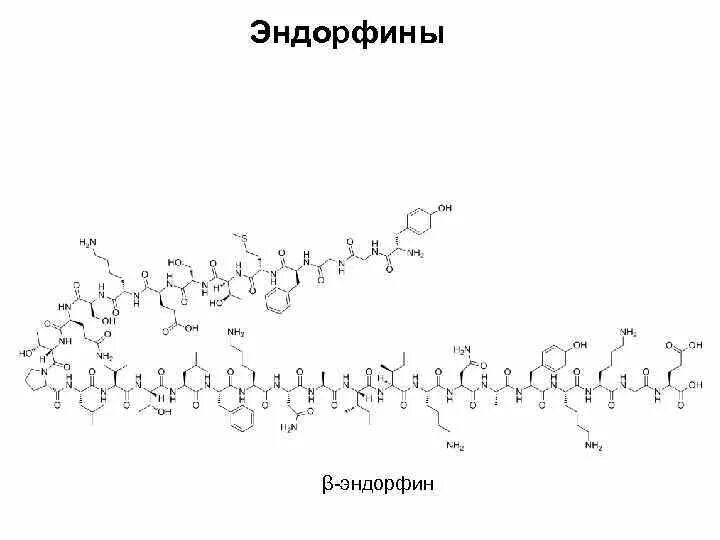 Эндорфин сказать. Эндорфины химическая формула. Химическое строение эндорфина. Эндорфин гормон формула химическая. Формула эндорфинов химическая формула.