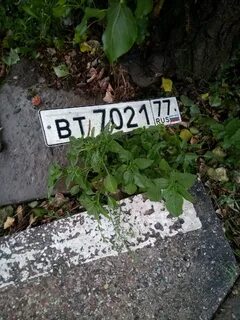 Номер лежит