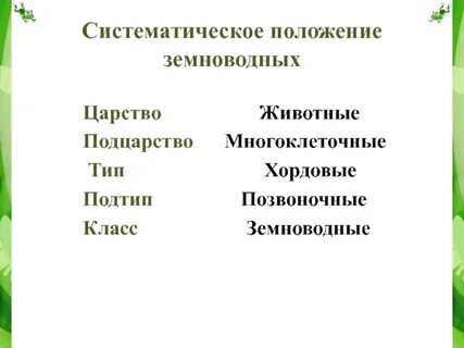 Систематическое положение царство