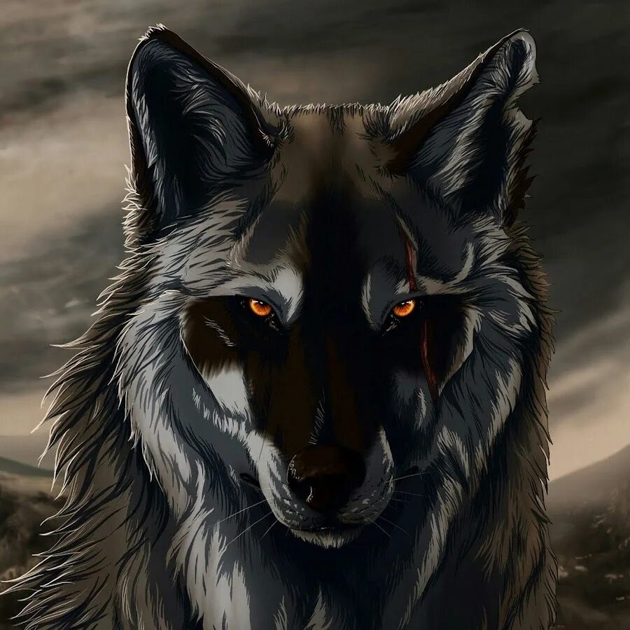 Волки крутые. Блэк вульф. Волки крутые. Волк аватар. Крутые аватарки волк.