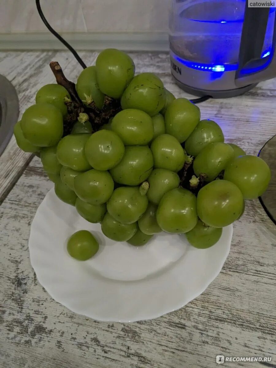 シ ャ イ ン マ ス カ ッ ト"的 圖 片 搜 尋 結 果 Business design, Grapes, Fruit