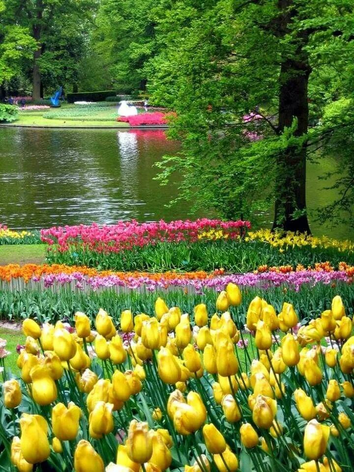 Spring scenes