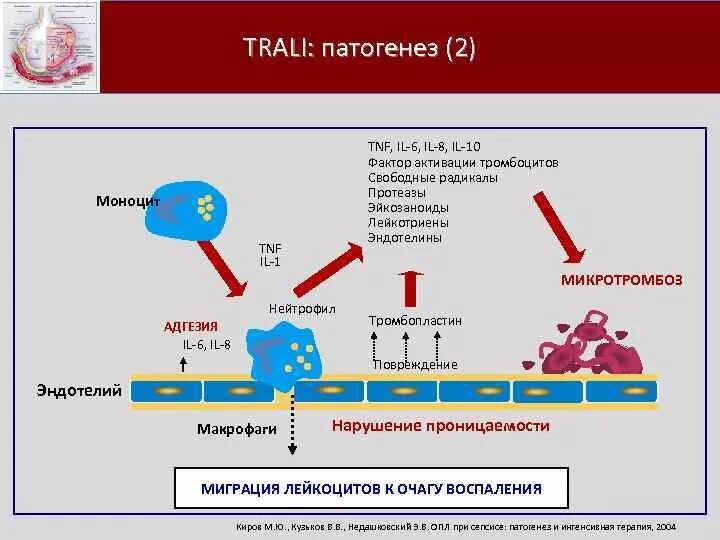 Фактор активации тромбоцитов. Фактор активирующий тромбоциты. Трали синдром патогенез. Этиология синдрома Trali.