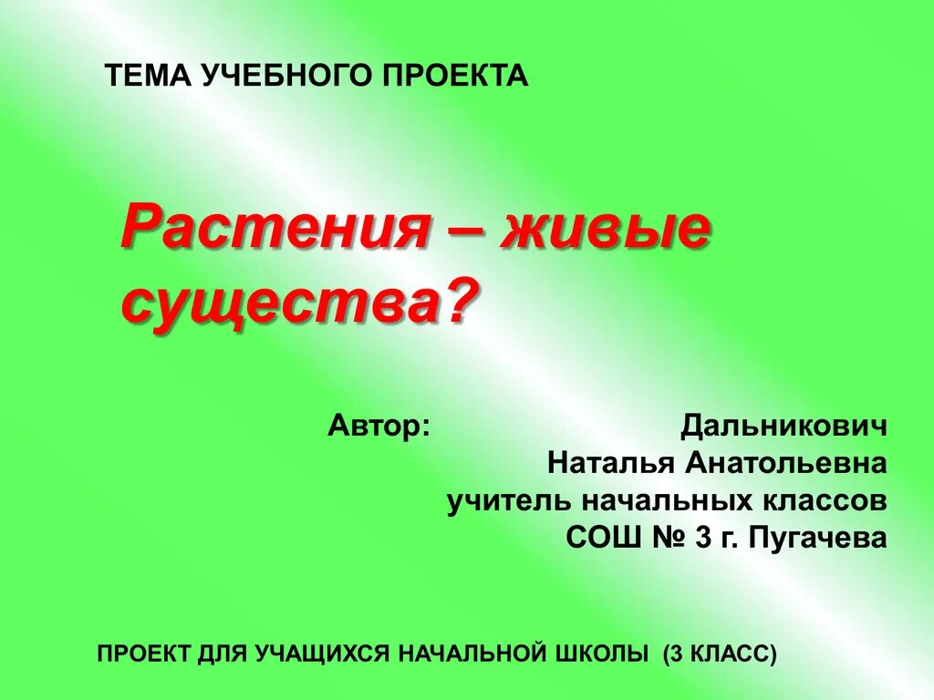 Готовый проект для 2 класса. Презентации на любую тему. Готовый проект на любую тему 4 класс. Презентация темы проекта. Проекты темы готовые.