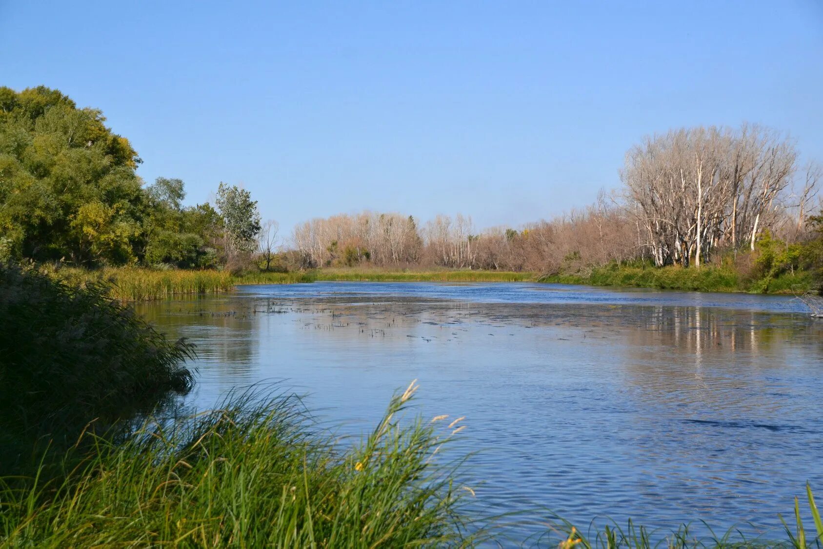 Берег новотроицк. Берег солнца новотроицкое водохранилище официальный сайт. Кафе берег бикбая 44. База новотроицкое водохранилище. База застава новотроицкое.
