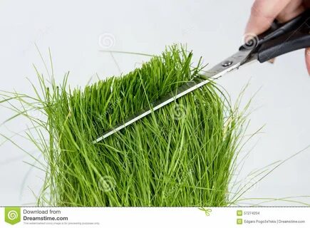 Cutting grass gif