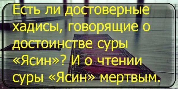 Хадисы про суру ясин. Достоинства Суры ясин хадисы. Хадисы достоверные. Достоинства чтение Суры ясин.