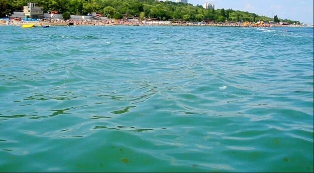 Сколько вода в море в сочи. Сочи Азовское море. Вода в Сочи. Морская вода Сочи. Цвет воды в Сочи.