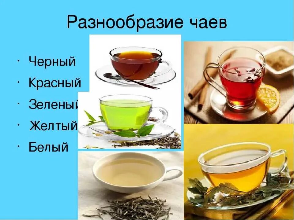 Чай напиток виды. Полезный чай. Виды чайных напитков. Чай разных цветов. Разные сорта чая.