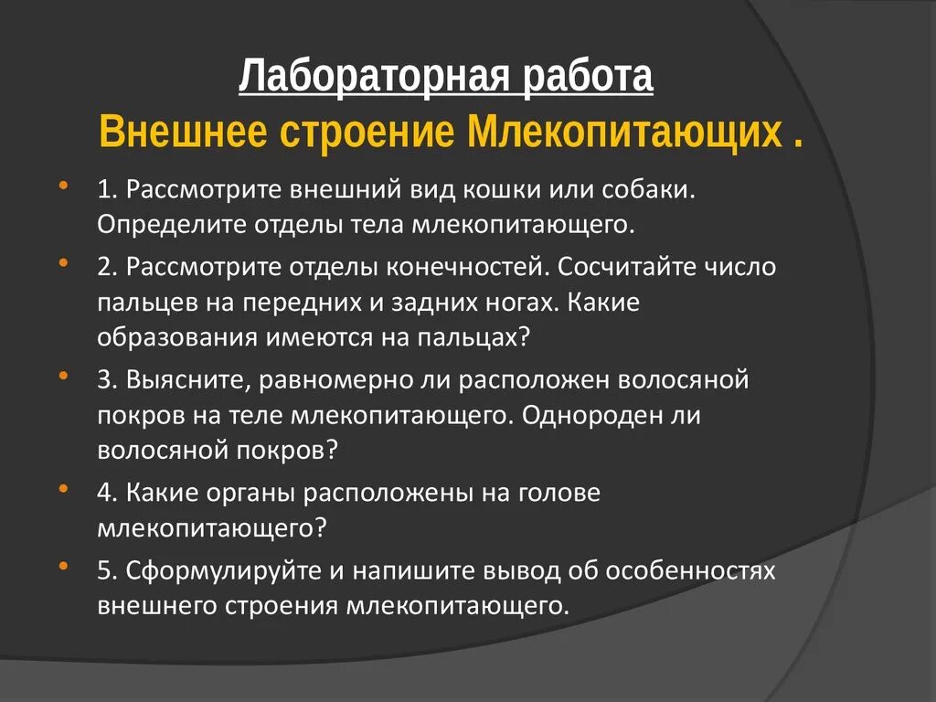 Лабораторная работа внутреннее строение млекопитающих. Внешнее строение млекопитающих. Внешнее строение млеко. Особенности строения млекопитающих. Лабораторная работа изучение внешнего строения млекопитающих.