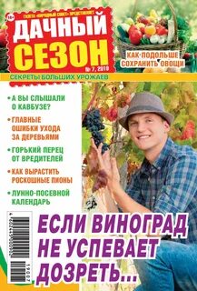 Дачный дневник