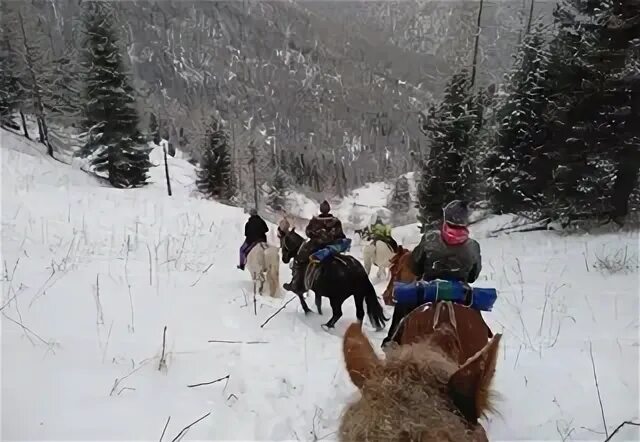 Туры 30 декабря. Туры 30 декабря