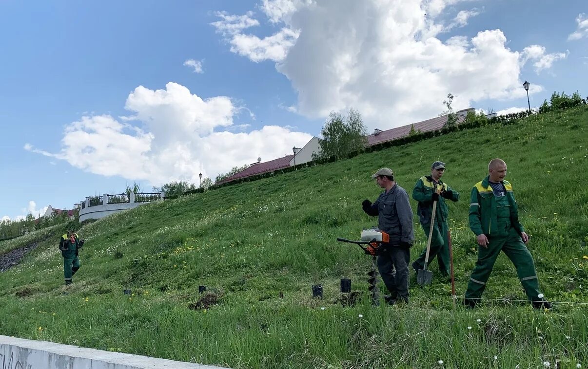 Чугуев питомник смоленск. Смоленск Ива. Смоленская набережная Смоленск. Сквер крылатые земляки в Смоленске. Питомник Чугуева Смоленск.