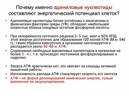 Энергетические нуклеотиды