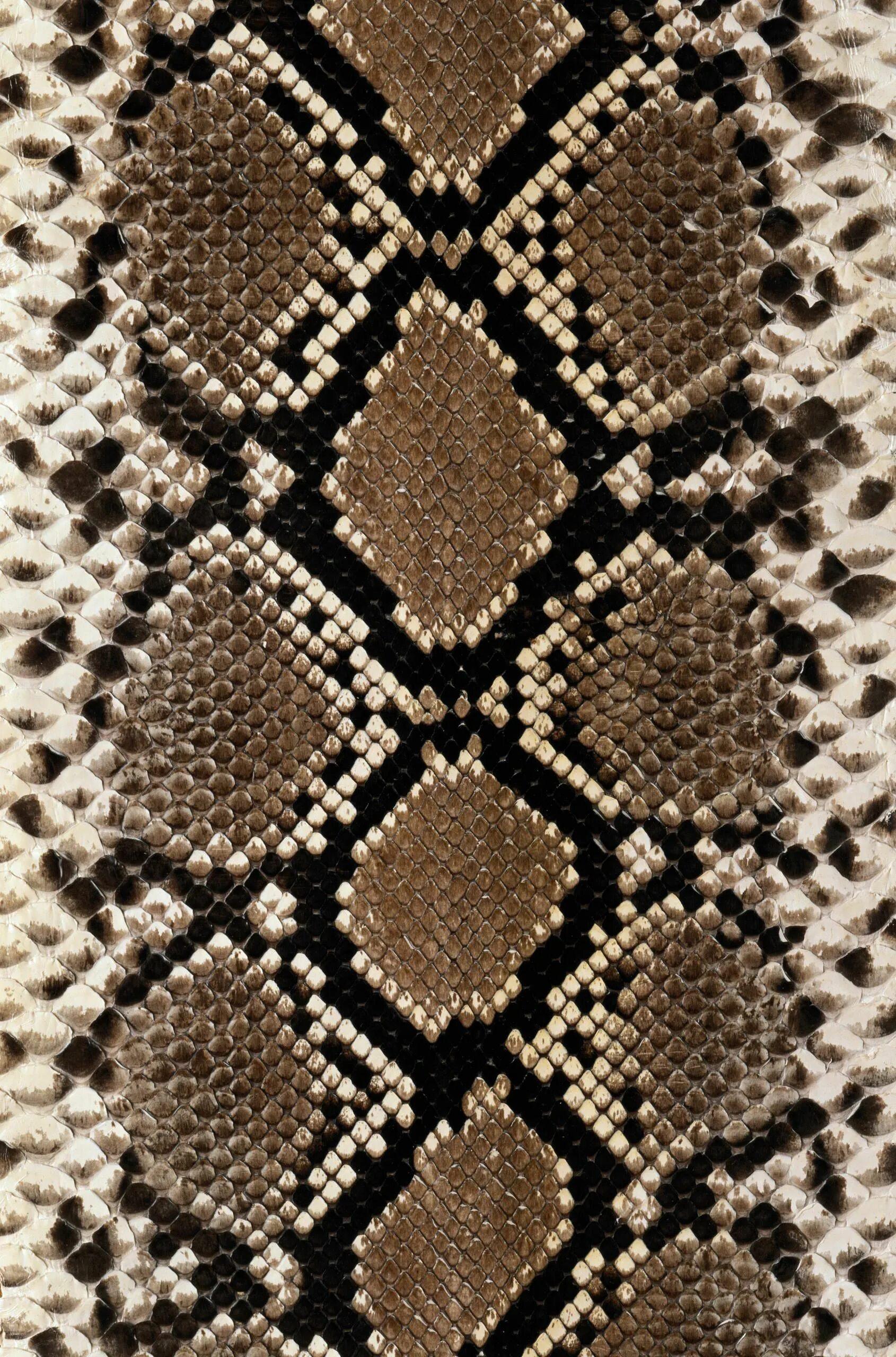 Snake pattern