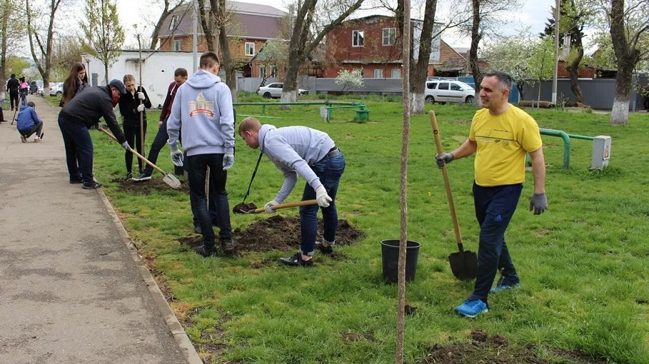 Сквер неагари шелехов. Заложить сквер. Ерастова. Сквер победы весной тюмень. Сквер разбит в честь императора.