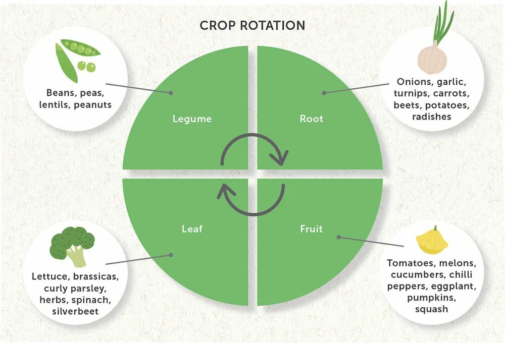Crop rotation