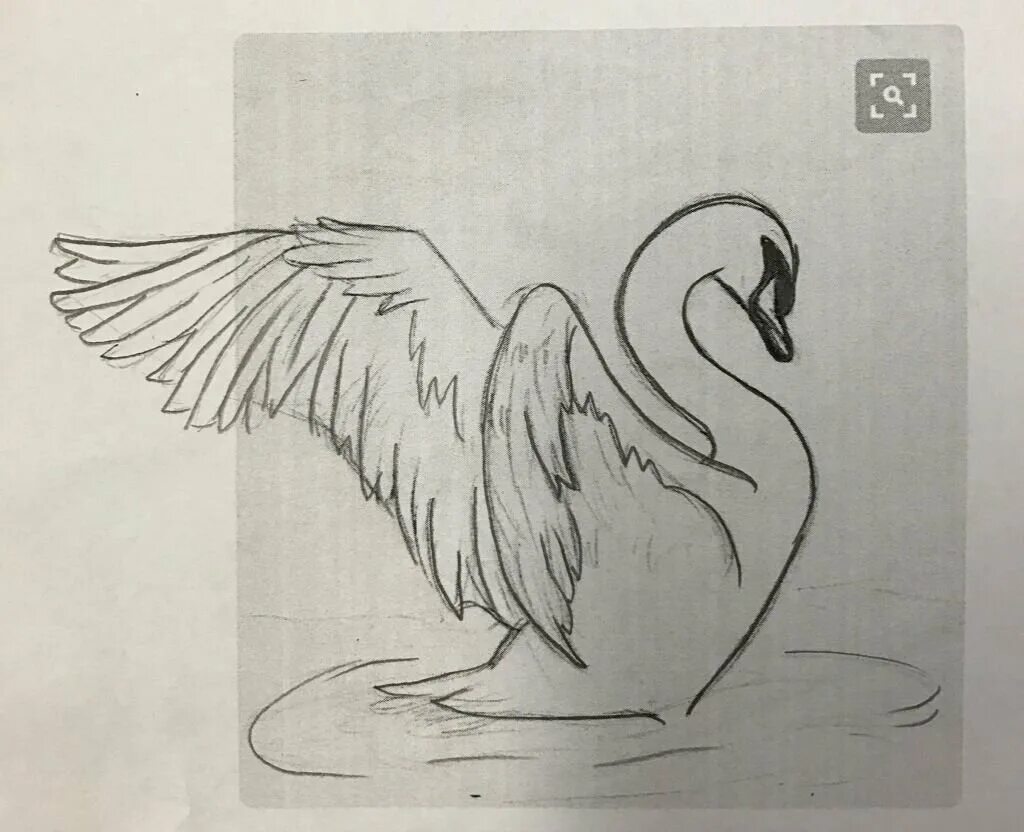 Нарисовать рисунок лебедушка. Лебедь рисунок. Лебедь карандашом. Лебедь для срисовки. Лебедь для срисовки карандашом.