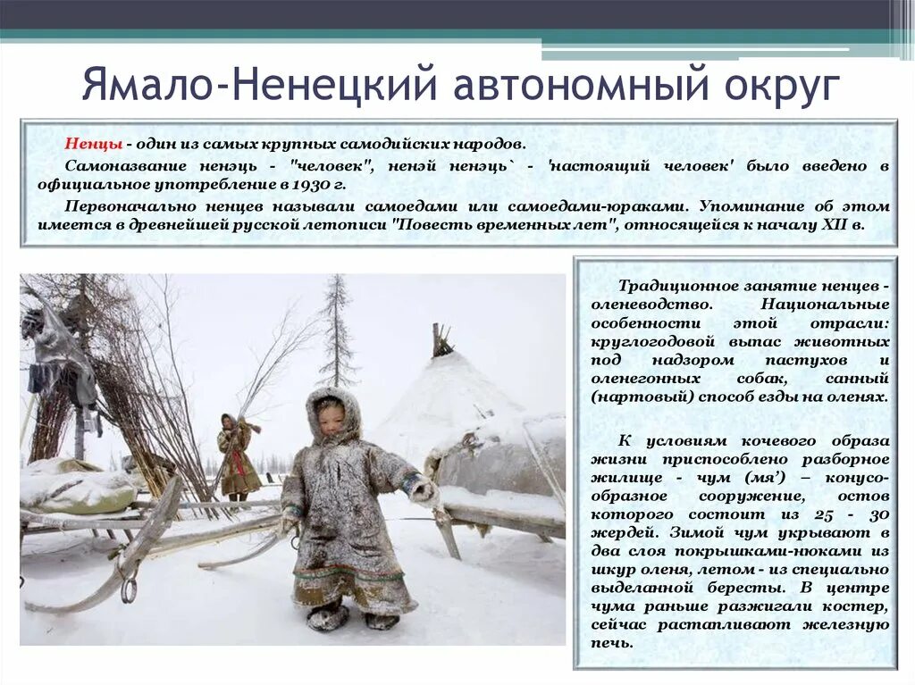 Коренные народы Ямало-Ненецкого автономного округа. Народы крайнего севера. Традиционные занятия ненцев. Народы севера ненцы.