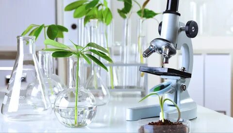 Plant lab