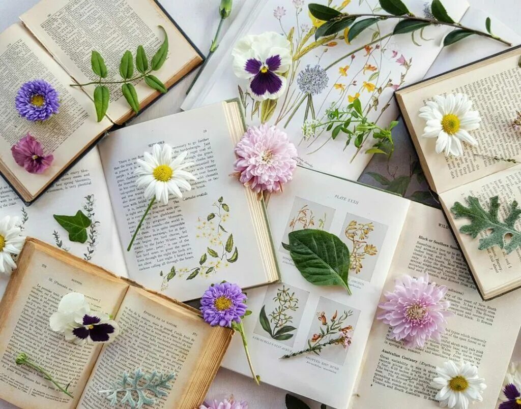 Книга цветы. Красивые композиции с книгами. Книжка и цветок. Букет цветов и книга. Стопка книг.